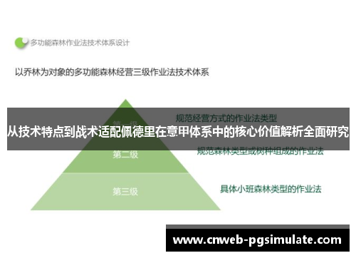 从技术特点到战术适配佩德里在意甲体系中的核心价值解析全面研究